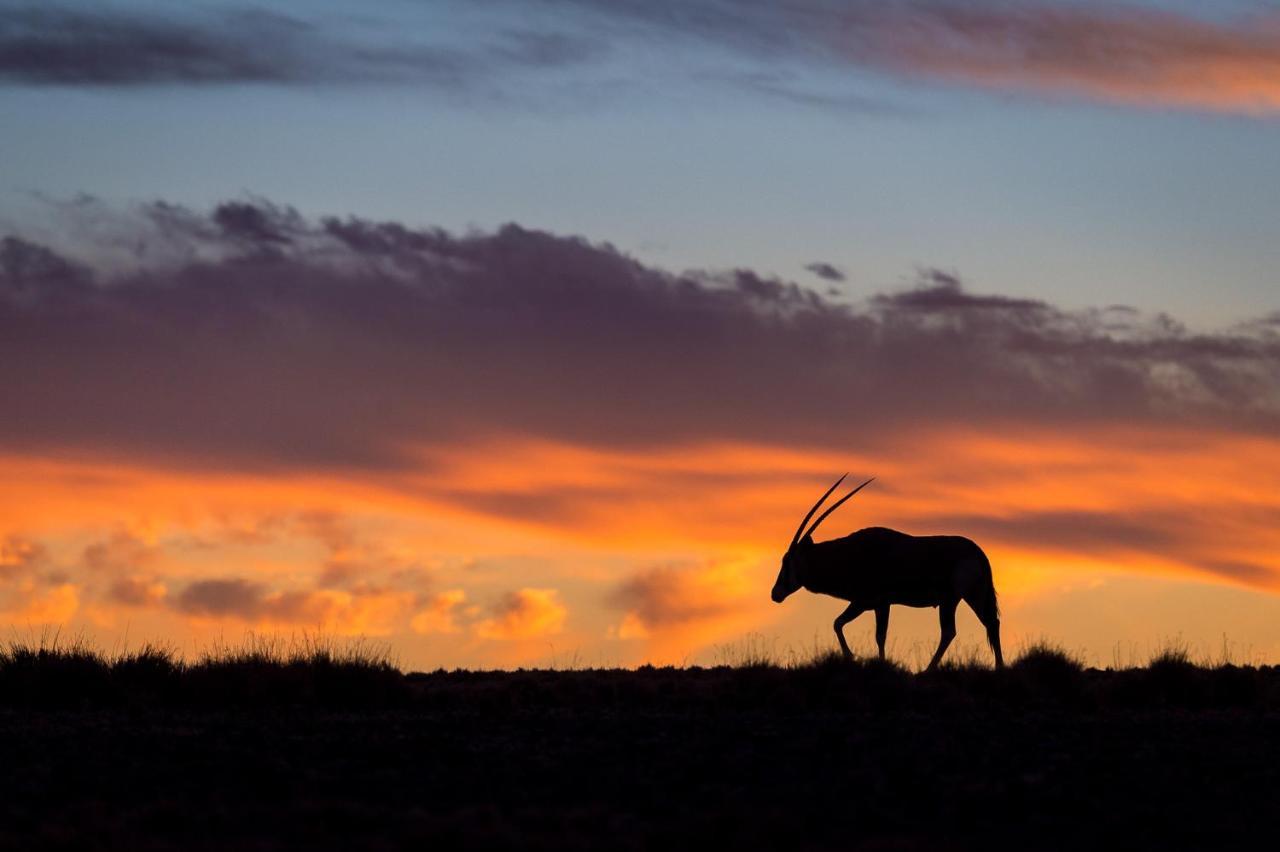 Wilderness Safaris Kulala Desert Lodge Sesriem Eksteriør billede