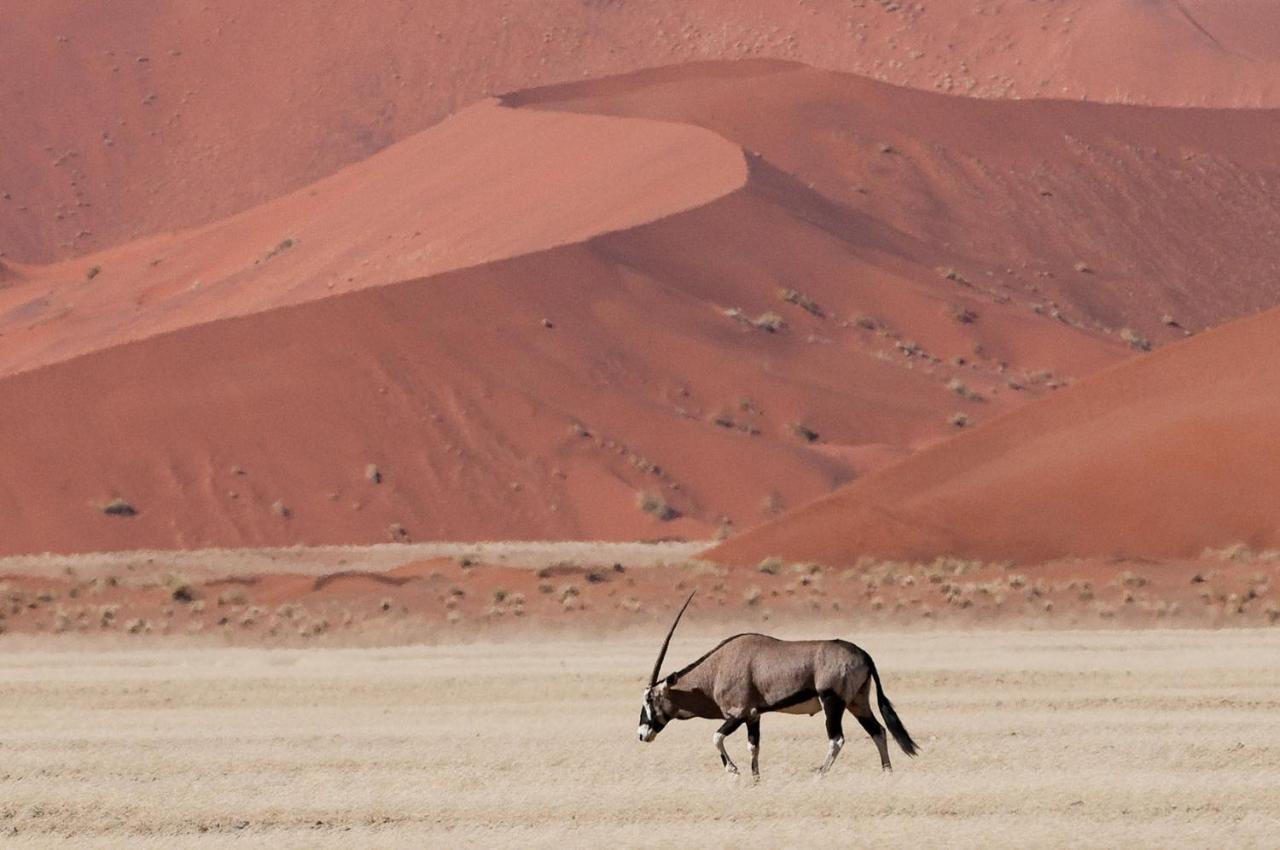 Wilderness Safaris Kulala Desert Lodge Sesriem Eksteriør billede