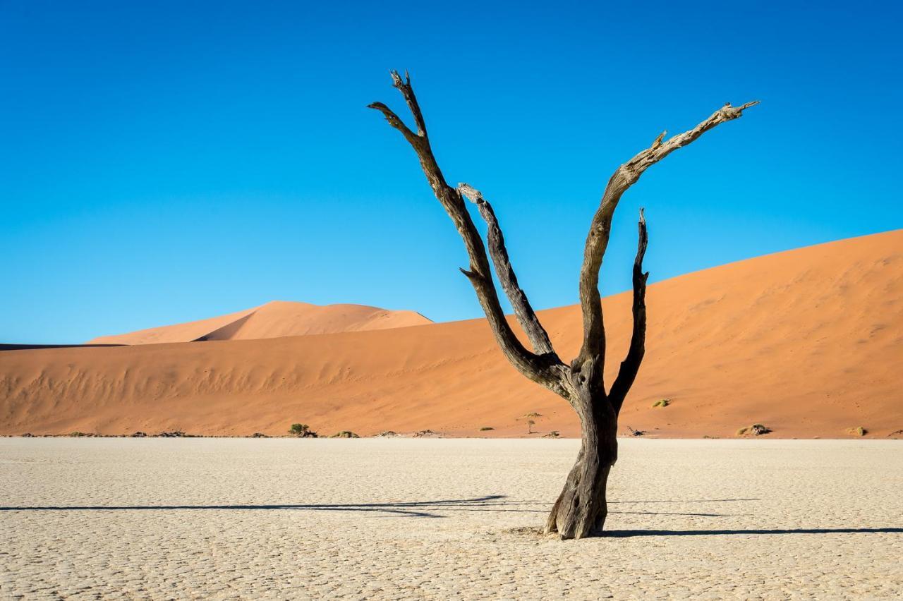 Wilderness Safaris Kulala Desert Lodge Sesriem Eksteriør billede