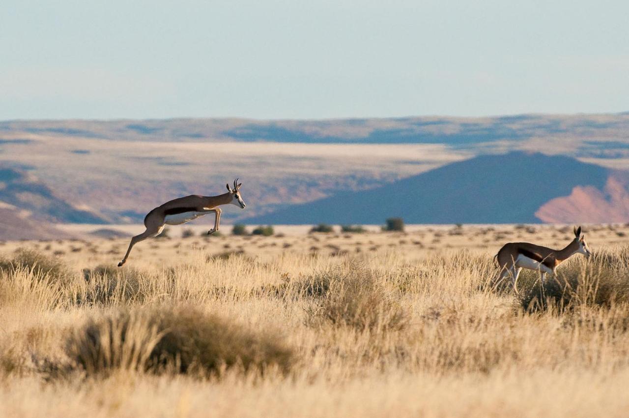 Wilderness Safaris Kulala Desert Lodge Sesriem Eksteriør billede