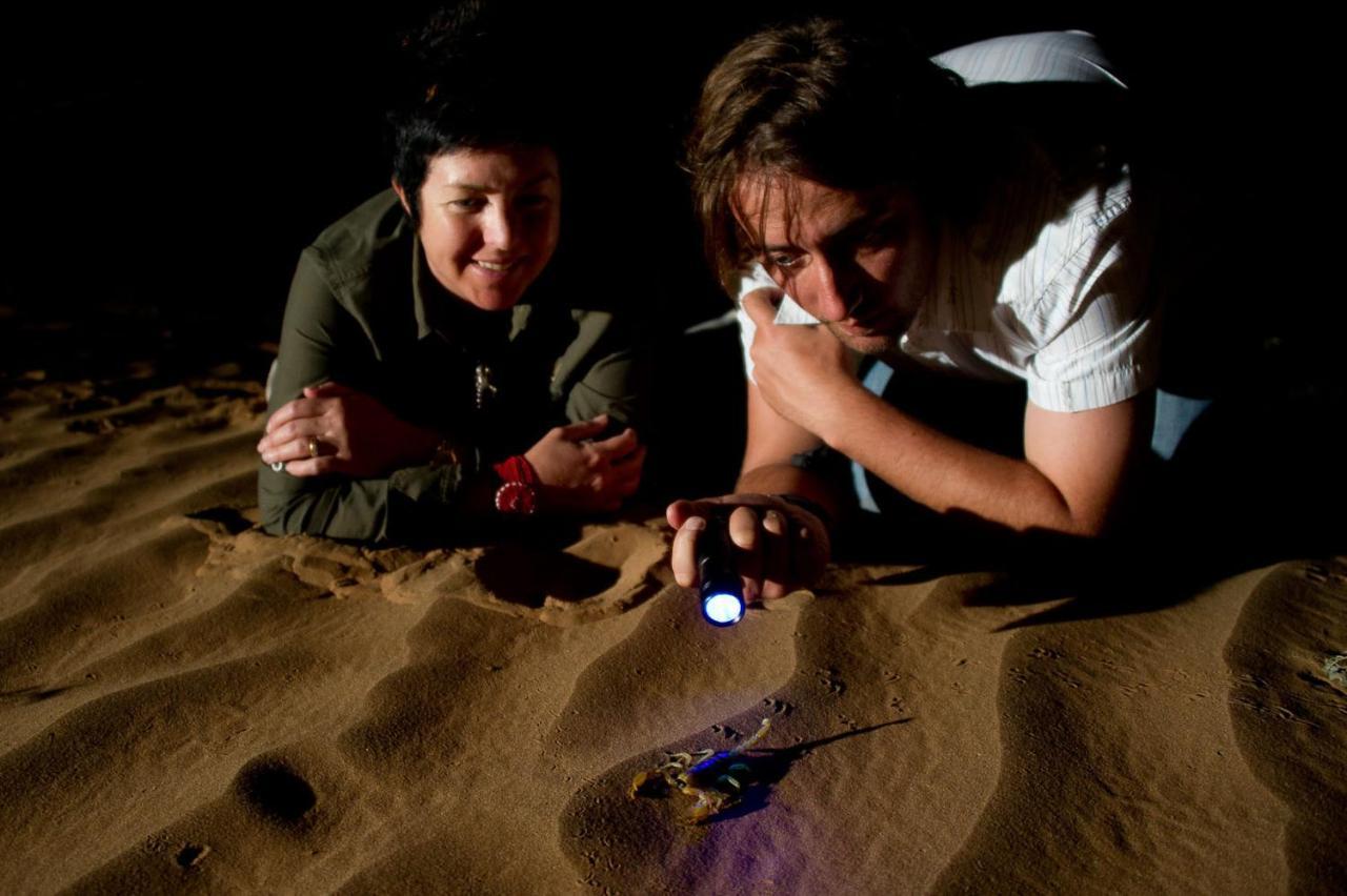 Wilderness Safaris Kulala Desert Lodge Sesriem Eksteriør billede