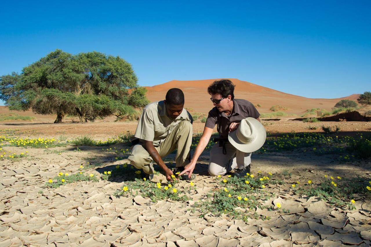 Wilderness Safaris Kulala Desert Lodge Sesriem Eksteriør billede