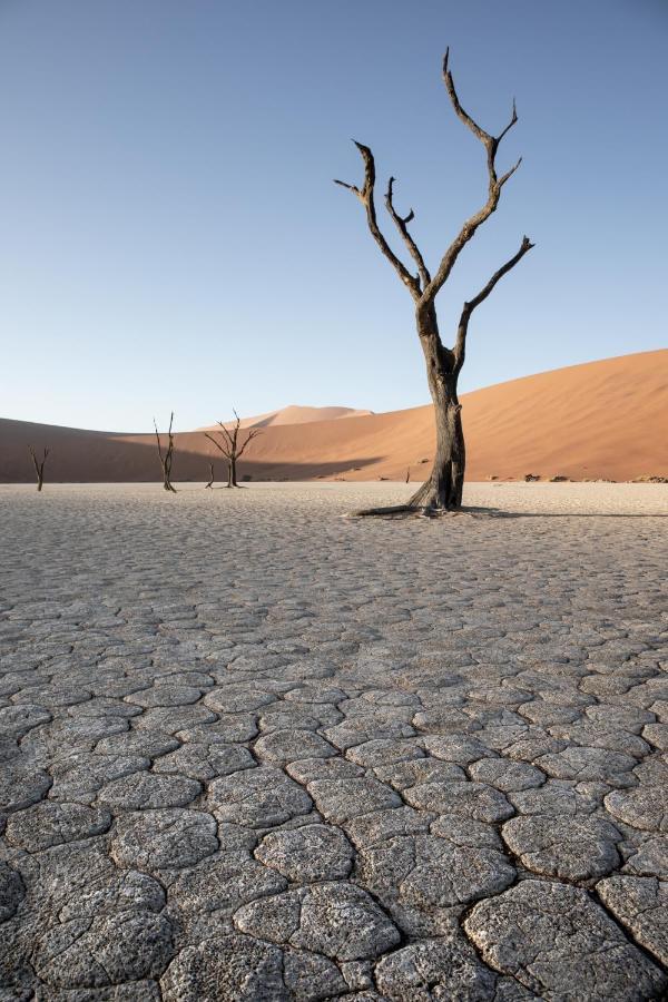 Wilderness Safaris Kulala Desert Lodge Sesriem Eksteriør billede